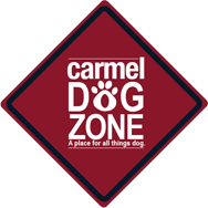 Certified Carmel Dog Trainer